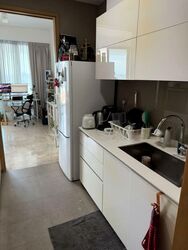Skyline Residences (D4), Condominium #543939071